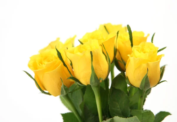 Kytice Žlutých Růží Bílém Pozadí — Stock fotografie