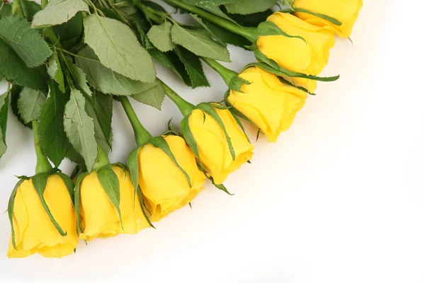 Μπουκέτο Κίτρινα Τριαντάφυλλα Λευκό Φόντο — Φωτογραφία Αρχείου