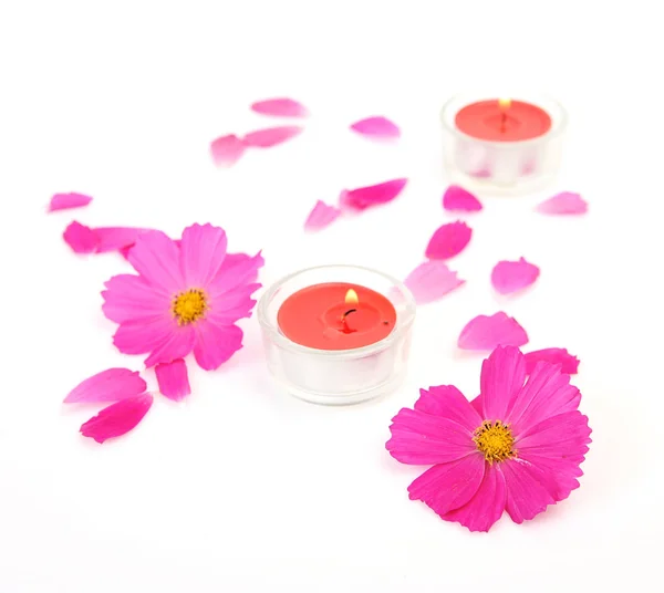 Roze Bloemen Bloemblaadjes Brandende Kaarsen Een Witte Achtergrond — Stockfoto