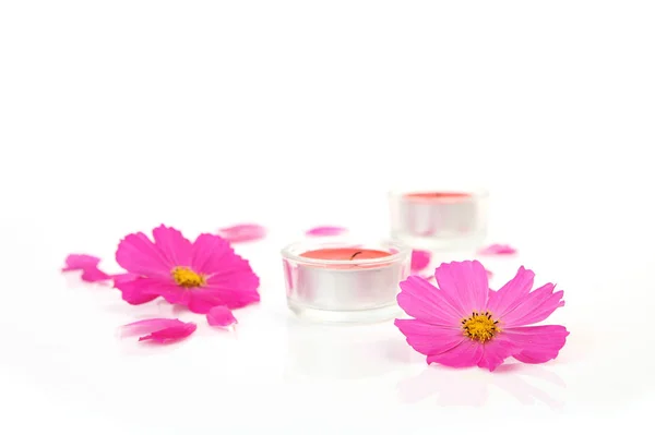 Pink Flowers Petals Burning Candles White Background — Stock Photo, Image