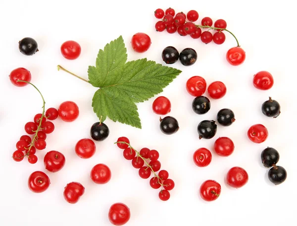 Ripe Berries White Background — Stock Photo, Image