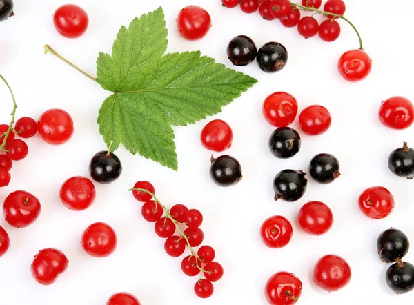 Ripe Juicy Berry White Background Cherry Currant — Stock Photo, Image