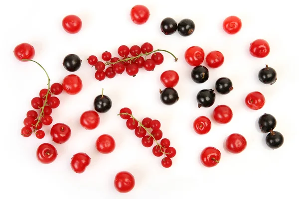 Ripe Berries White Background — Stock Photo, Image