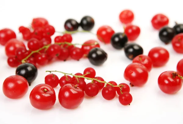 成熟多汁的浆果在白色的背景 樱桃和醋栗 — 图库照片