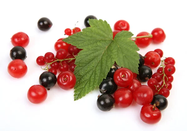 Reife Beeren Auf Weißem Hintergrund — Stockfoto