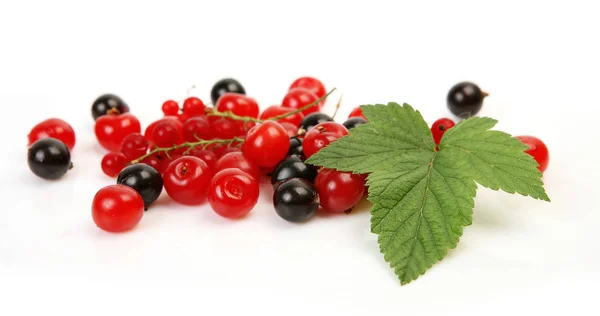 Ripe Juicy Berry White Background Cherry Currant — Stock Photo, Image