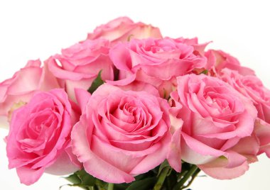 Beyaz arka planda pembe güller.