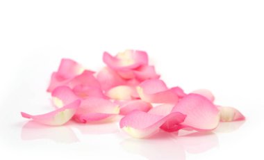 Beyaz arka planda pembe gül yaprakları