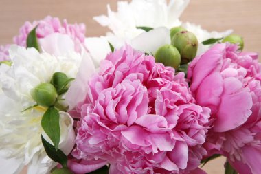 pembe ve beyaz peonies buket