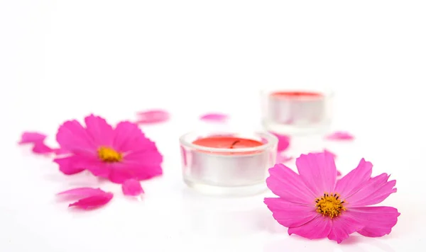 Pink Flowers Burning Candles White Background — Stock Photo, Image