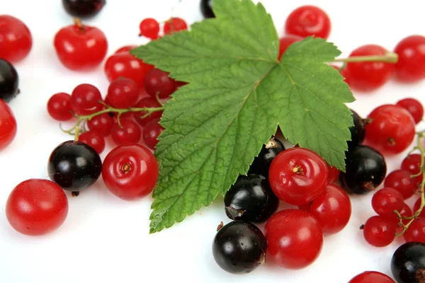 Reife Kirschen Und Johannisbeeren Auf Weißem Hintergrund — Stockfoto