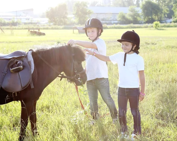 Pojke Flicka Och Svart Ponny — Stockfoto