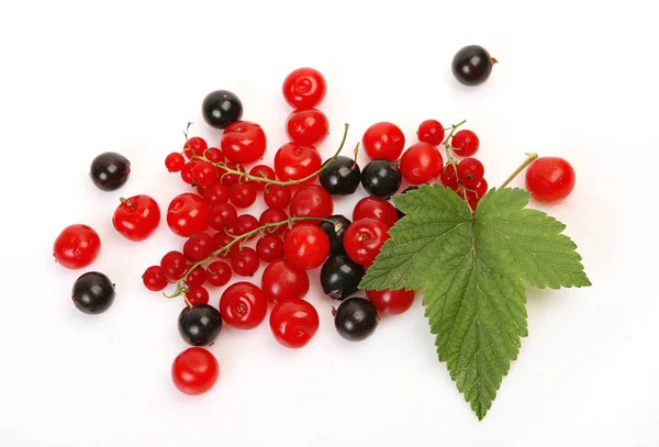 Reife Kirschen Und Johannisbeeren Auf Weißem Hintergrund — Stockfoto