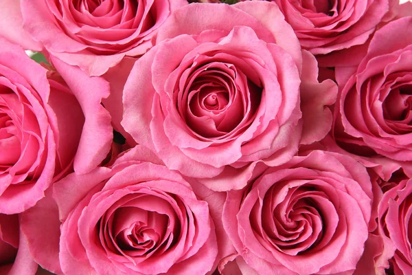 Kytice Voňavé Růžové Růže — Stock fotografie