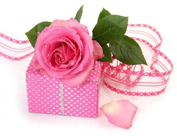 Gift Box Pink Rose — Stock Photo, Image