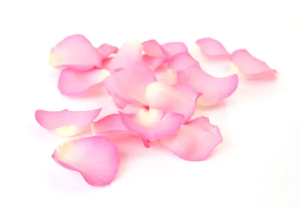 Roze Rozenblaadjes Een Witte Achtergrond — Stockfoto