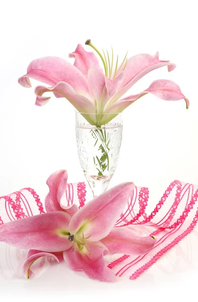 Pink Lily Ribbon White Background — Stock Photo, Image