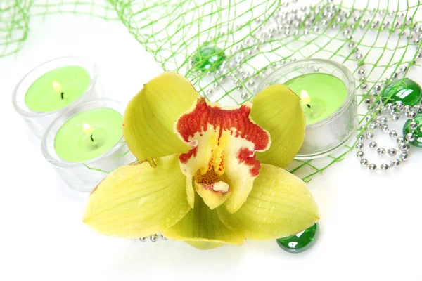 Orchidea gialla e candele — Foto Stock