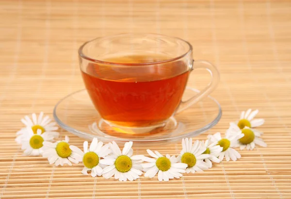 Herbata Puchar i rumianek kwiaty Zdjęcie Stockowe