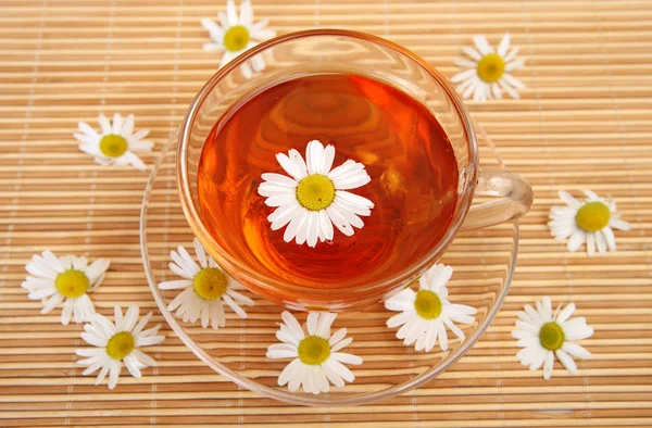 Tea cup és a Kamilla virág Jogdíjmentes Stock Képek