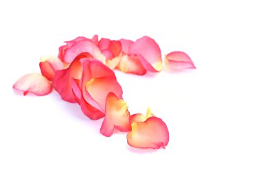 aşk sembolü olarak gül yaprakları