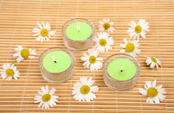 洋甘菊和绿色蜡烛 — 图库照片