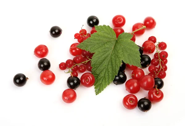 Ripe berries for a healthy diet — Stock Photo, Image