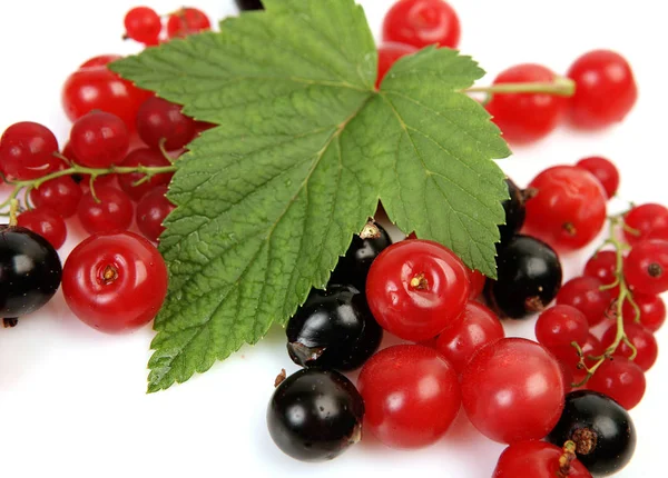 Ripe berries for a healthy diet — Stock Photo, Image