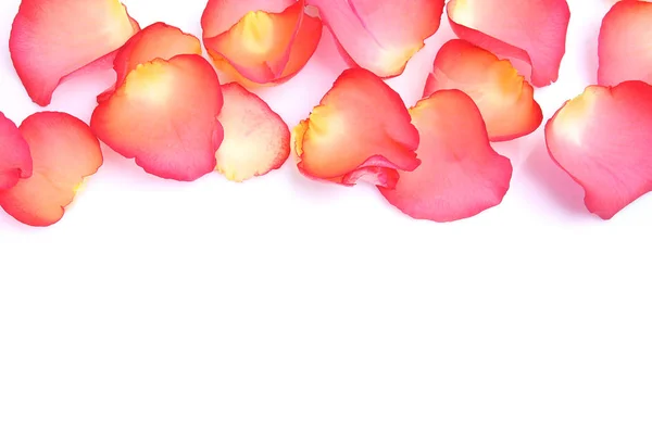 Rosenblad som en symbol för kärlek — Stockfoto
