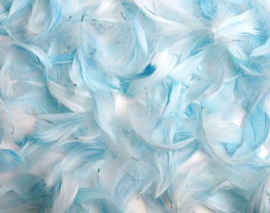 Seamless background of soft blue feathers clipart