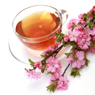 beyaz bir arka planda Sakura çay ve çiçekli şube ile kupa