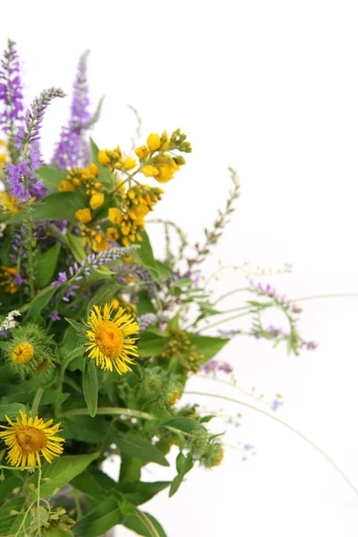 Strauß Wilder Blumen Auf Weißem Hintergrund — Stockfoto