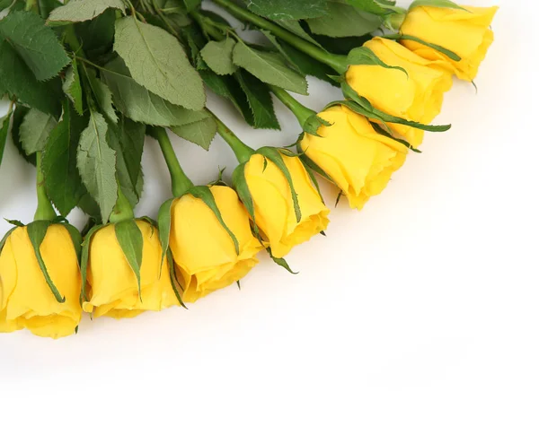 Strauß Gelber Rosen Auf Weißem Hintergrund — Stockfoto