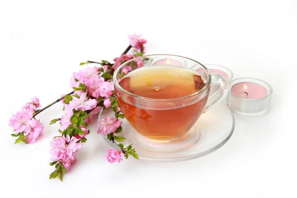 Mugg Med Och Blommande Gren Sakura Vit Bakgrund — Stockfoto