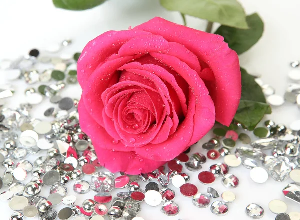 Pink Rose Decorative Ornaments — Stock Photo, Image