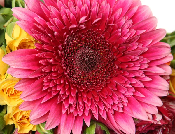 큰 분홍색 꽃과 장미 — 스톡 사진