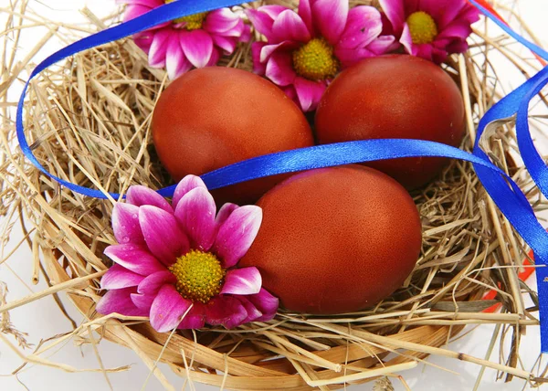 Colored eggs and pink flowers — Stock Photo, Image