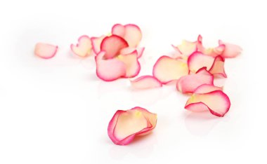 Beyaz arka plan üzerinde pembe gül yaprakları