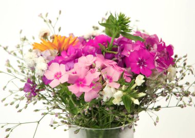 beyaz zemin üzerinde kır çiçekleri buketi