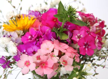 beyaz zemin üzerinde kır çiçekleri buketi