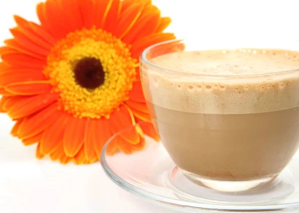 coffee with milk in cup and flower