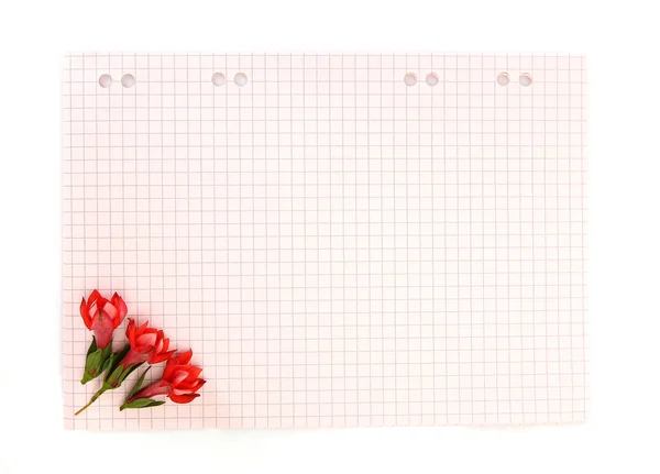 Flores Rojas Hoja Papel Con Espacio Copia — Foto de Stock