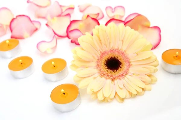 Bloemblaadjes Van Rose Gele Bloem Brandende Kaarsen — Stockfoto