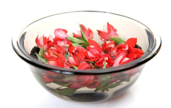 Fleurs Rouges Flottant Dans Une Tasse Eau — Photo