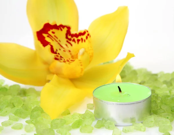 Gelbe Orchidee Und Grüne Kerze — Stockfoto