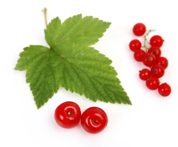 Cherries Red Currants Berries White Background — Stock Photo, Image