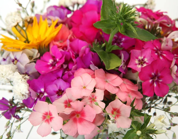 Boeket Van Wilde Bloemen Witte Achtergrond — Stockfoto