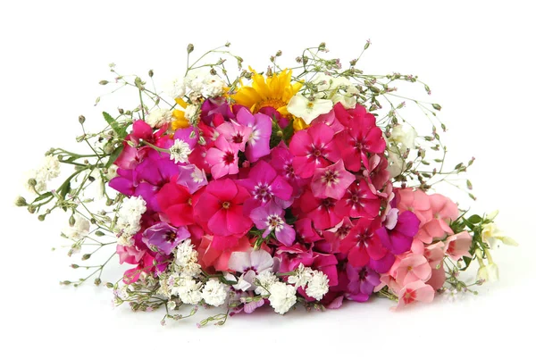 Bouquet Fleurs Sauvages Sur Fond Blanc — Photo