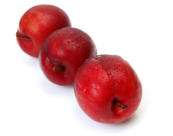 红色成熟的李子 用于白色背景的健康饮食 — 图库照片