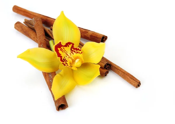 Żółta Orchidea Paluszki Cynamonowe Aromaterapii Zdjęcie Stockowe